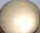 CANADIANA - OLD ADMIRAL POCKET WATCH IN GOOD WORKING ORDER